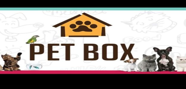 Pet BOX